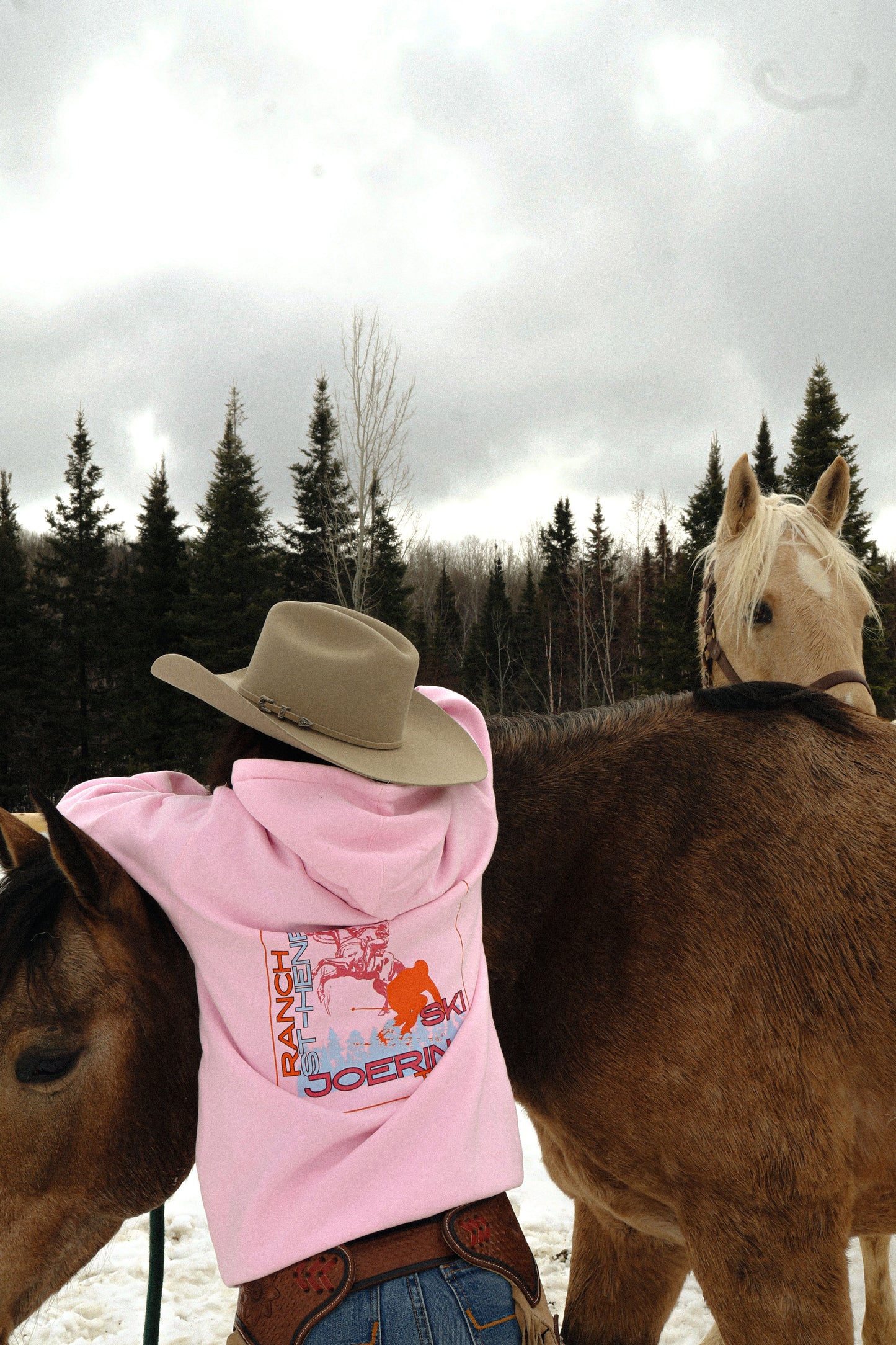 Ski joering team hoodie - Pink