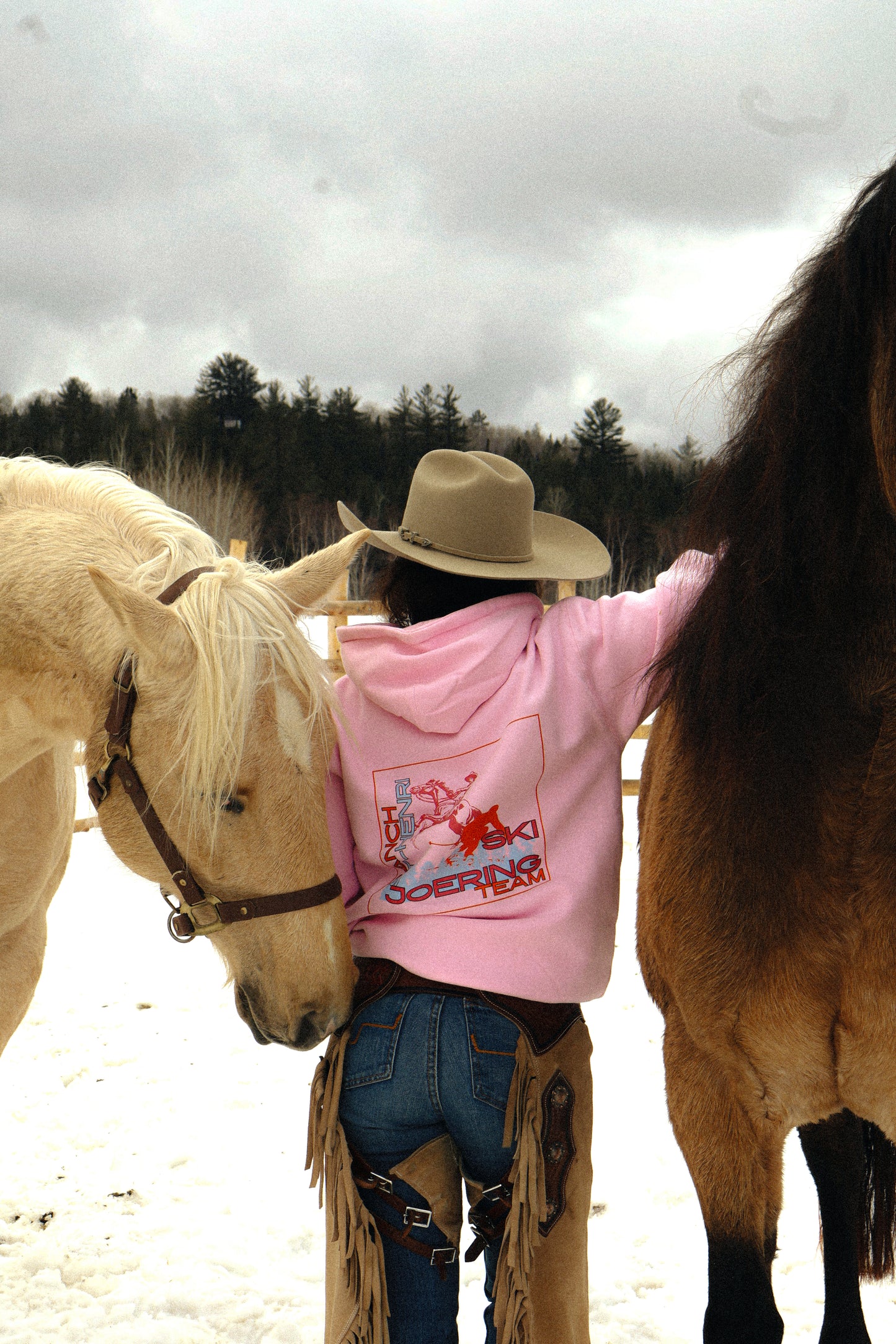 Ski joering team hoodie - Pink