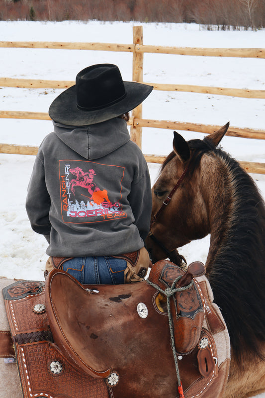 Ski joering team Hoodie - Grey