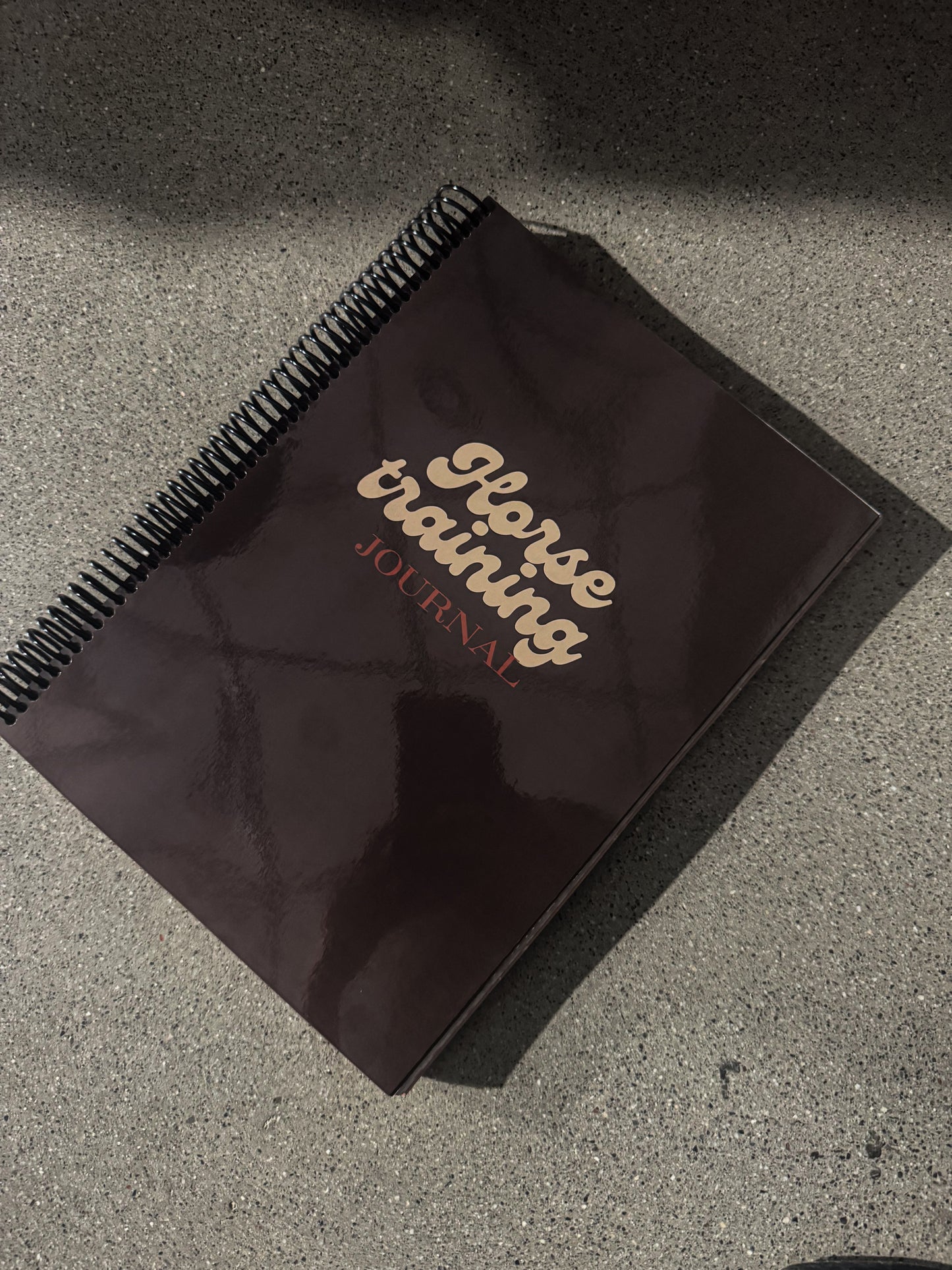 Horse training journal